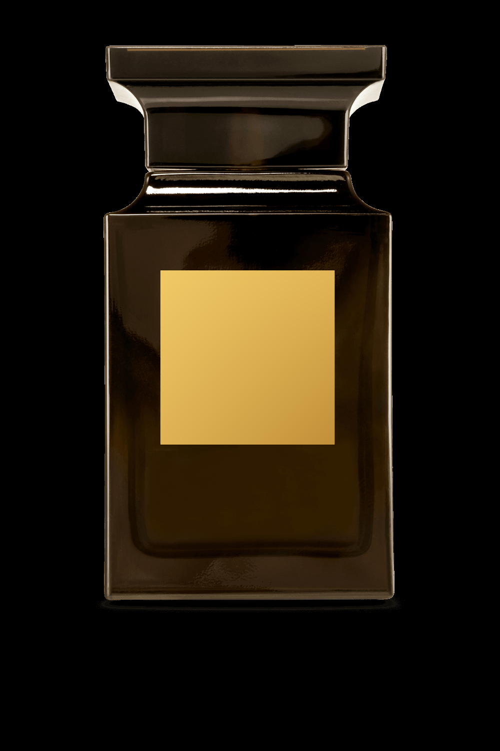 Tom Ford-Tuscan Leather
