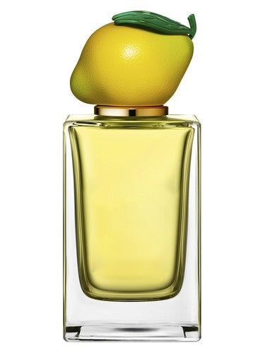 Dolce & Gabbana Lemon