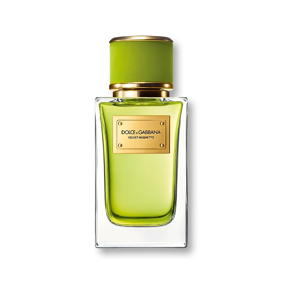 Dolce & Gabbana-Velvet Mughetto