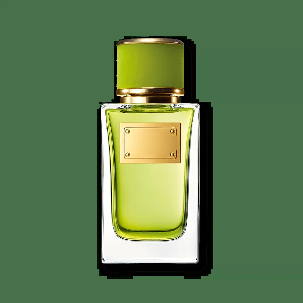 Dolce & Gabbana-Velvet Mughetto