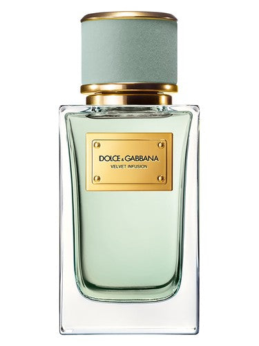 Dolce & Gabbana-Velvet Infusion