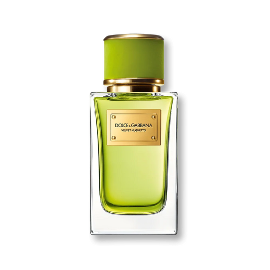 Dolce & Gabbana-Velvet Mughetto